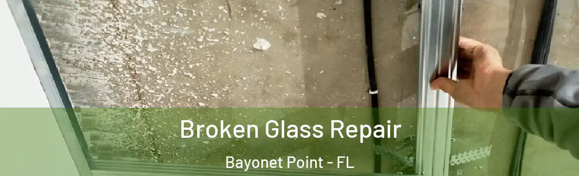 Broken Glass Repair Bayonet Point - FL