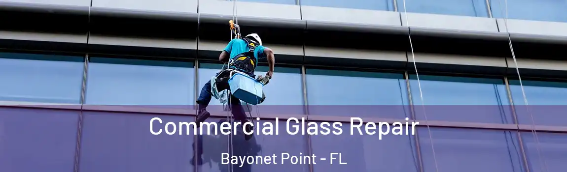 Commercial Glass Repair Bayonet Point - FL