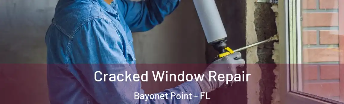  Cracked Window Repair Bayonet Point - FL