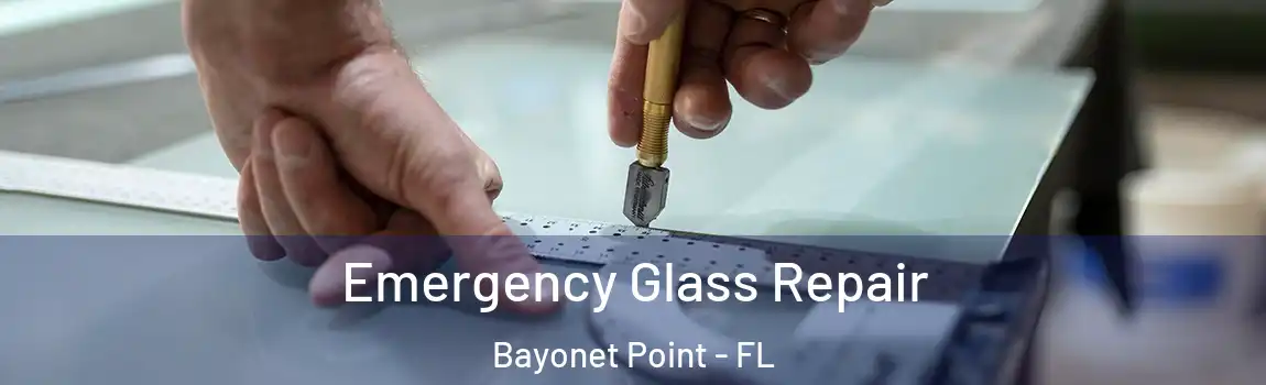  Emergency Glass Repair Bayonet Point - FL
