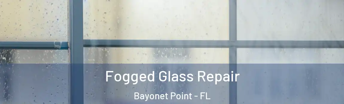 Fogged Glass Repair Bayonet Point - FL