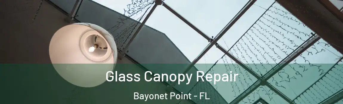 Glass Canopy Repair Bayonet Point - FL