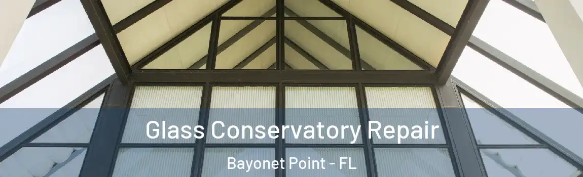 Glass Conservatory Repair Bayonet Point - FL