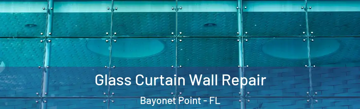 Glass Curtain Wall Repair Bayonet Point - FL