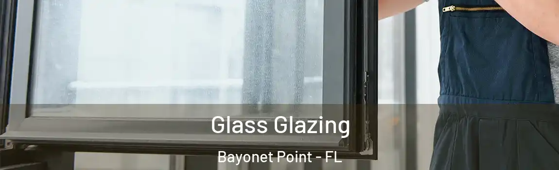  Glass Glazing Bayonet Point - FL