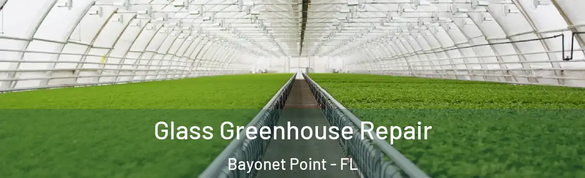 Glass Greenhouse Repair Bayonet Point - FL