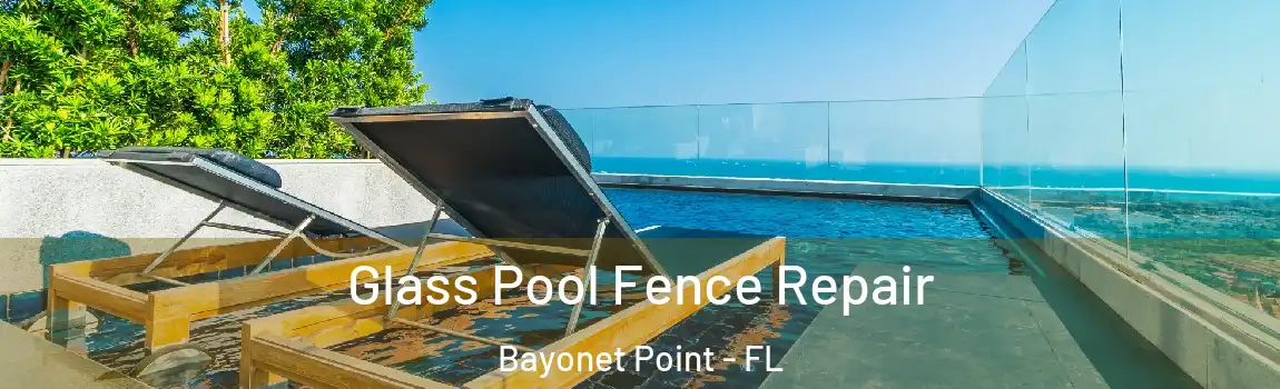  Glass Pool Fence Repair Bayonet Point - FL