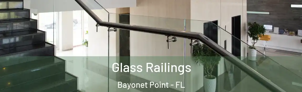 Glass Railings Bayonet Point - FL