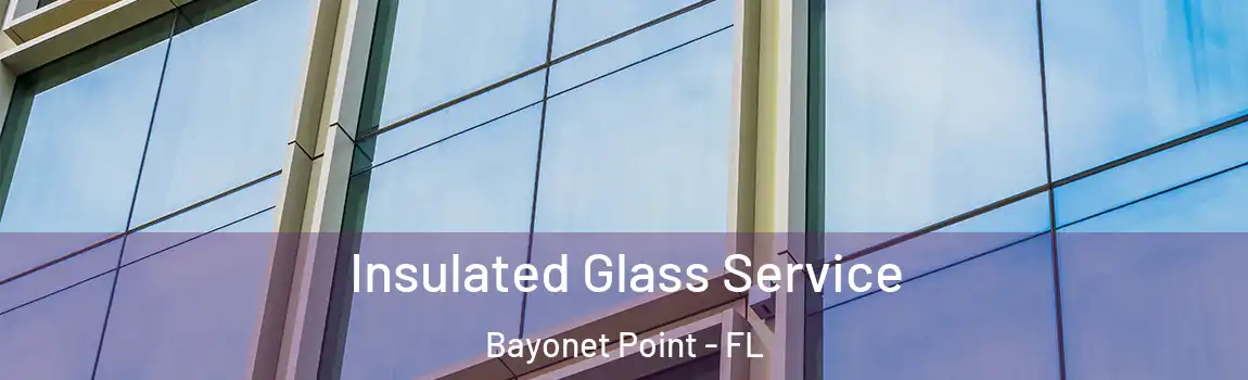 Insulated Glass Service Bayonet Point - FL
