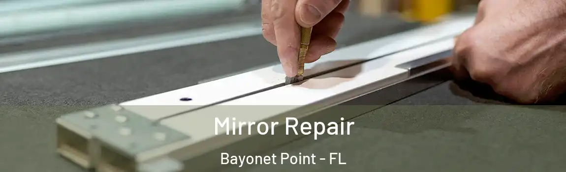  Mirror Repair Bayonet Point - FL