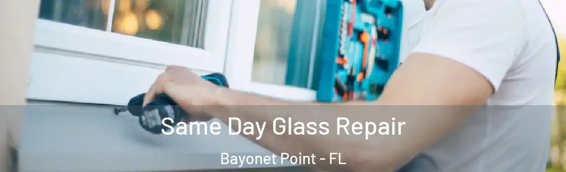 Same Day Glass Repair Bayonet Point - FL