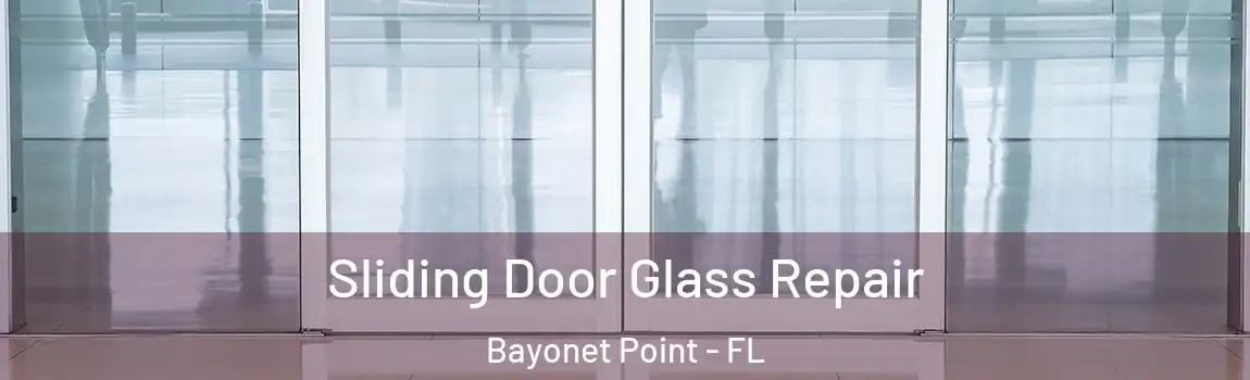 Sliding Door Glass Repair Bayonet Point - FL