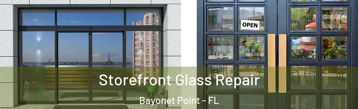 Storefront Glass Repair Bayonet Point - FL