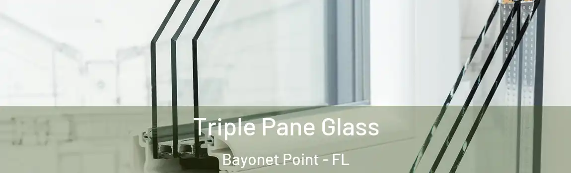  Triple Pane Glass Bayonet Point - FL