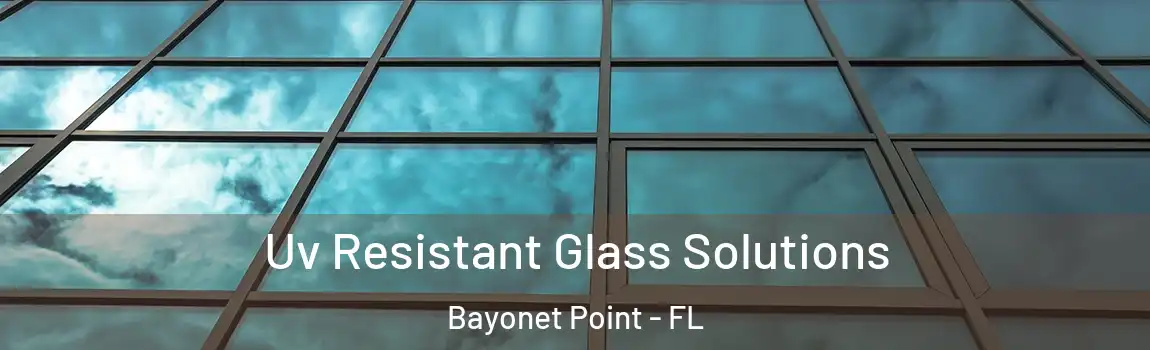  Uv Resistant Glass Solutions Bayonet Point - FL