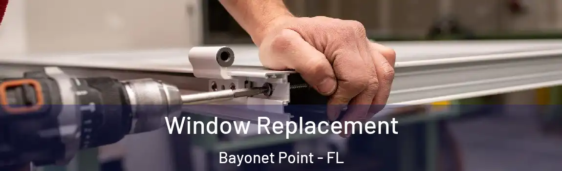 Window Replacement Bayonet Point - FL